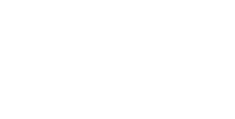 Paula Ramírez DSVM